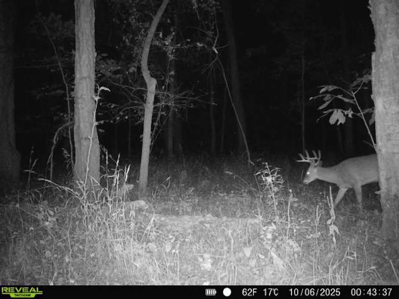 860516067463269-100-2-10062025004336-V-W1000529