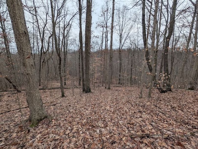 PXL_20260107_211534873.MP