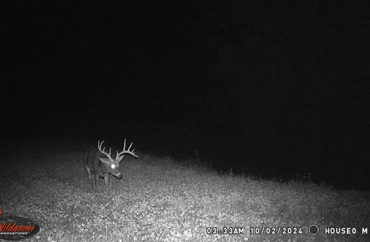 NODAWAY CO MO 80_4.2