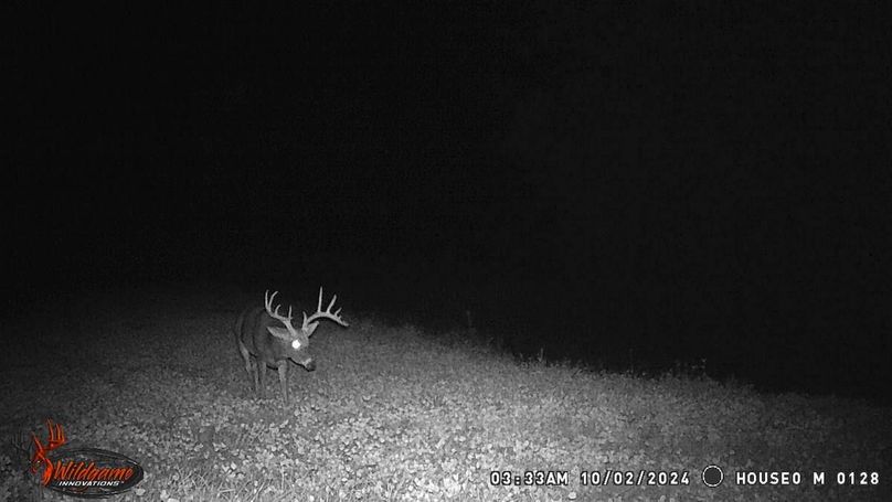 NODAWAY CO MO 80_4.2