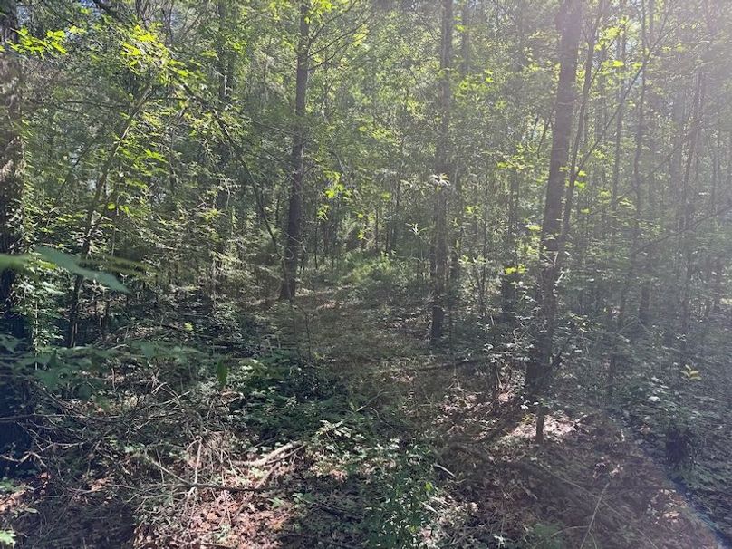 4785E819-14D9-47A3-9AA6-ABA6AB6F8FA4