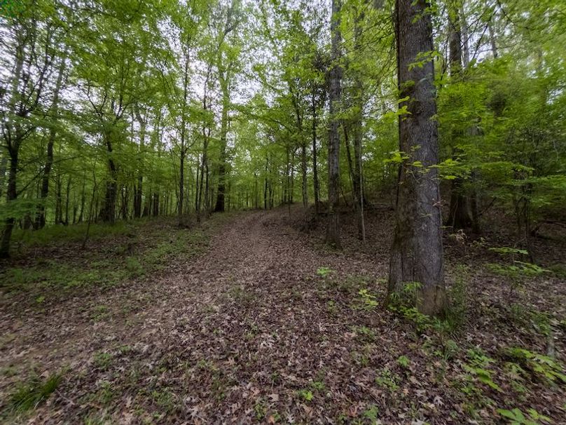 Claiborne Co-314-Fernandez-89