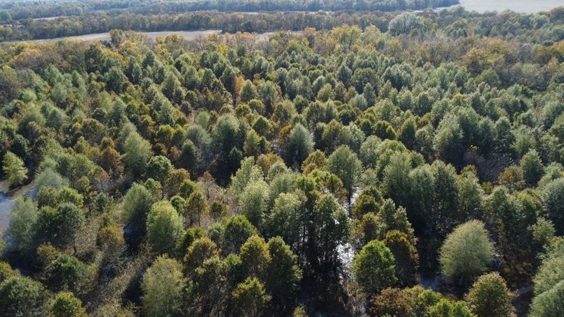 1a1 jeff 8320251111_0237