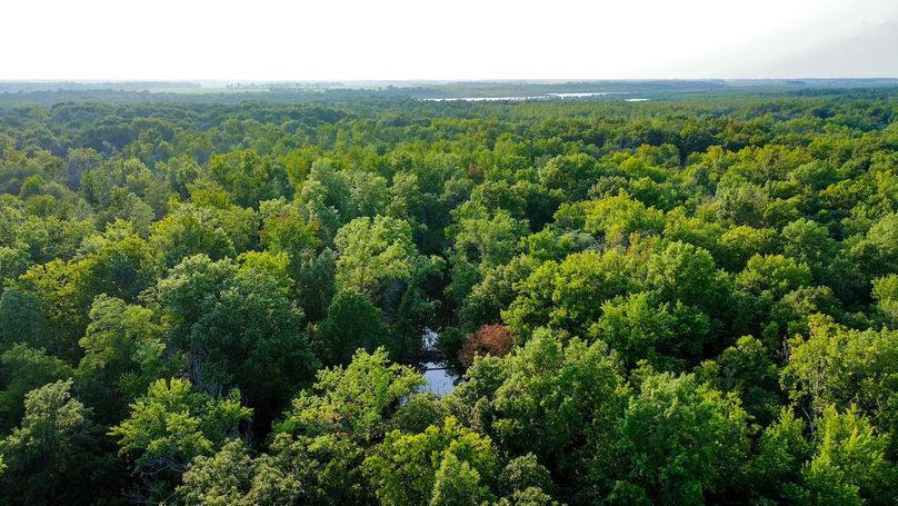 DJI_20240819183056_0144_D