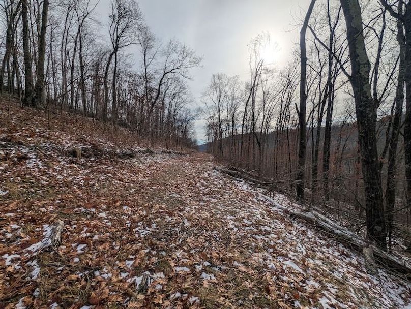 PXL_20260112_171108800