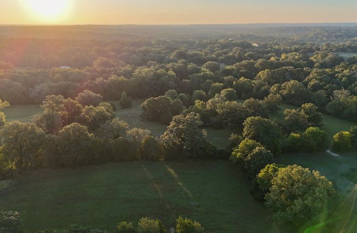 Hinds Co - 30 - Newman-03