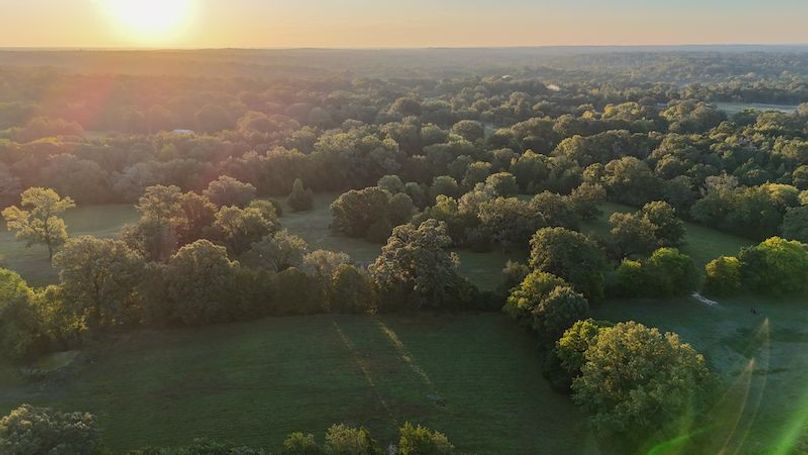 Hinds Co - 30 - Newman-03