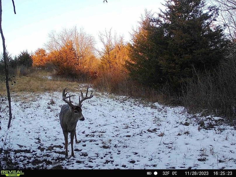 864049058900749-70-2-11282023163326-HD-SYFW4126