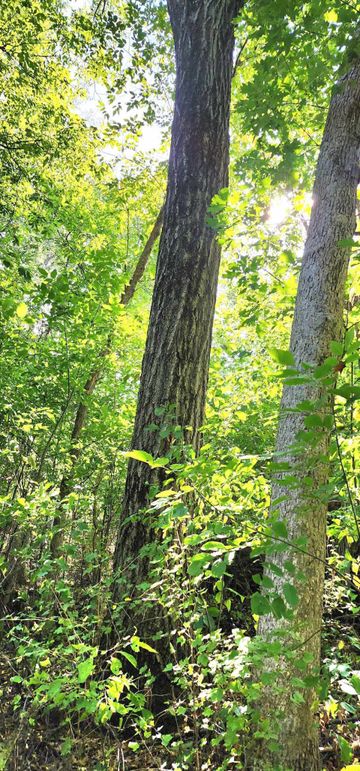 382336401_203074566019766_6031528297881743760_n