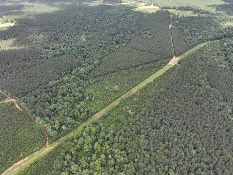 dji_fly_20260522_105938_0085_1779490425356_photo