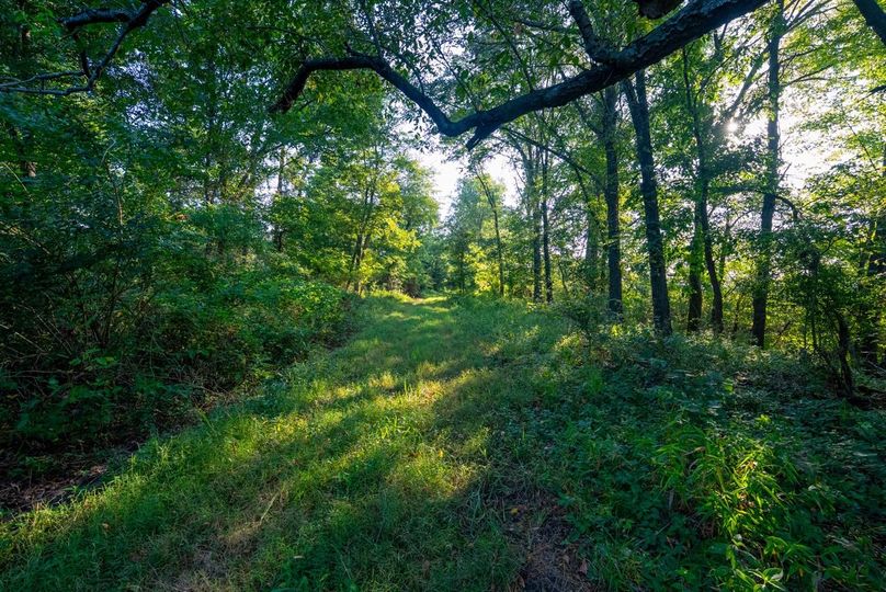 Copy of DSC06255 Large