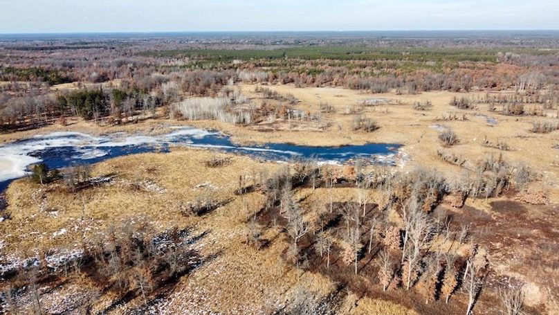 dji_fly_20240205_130010_991_1707264700658_photo_optimized 2