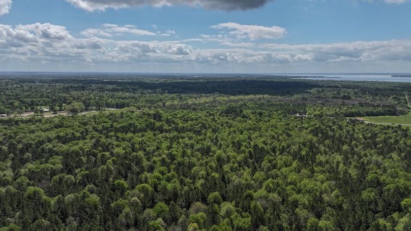 DJI_20260327114609_0005_D