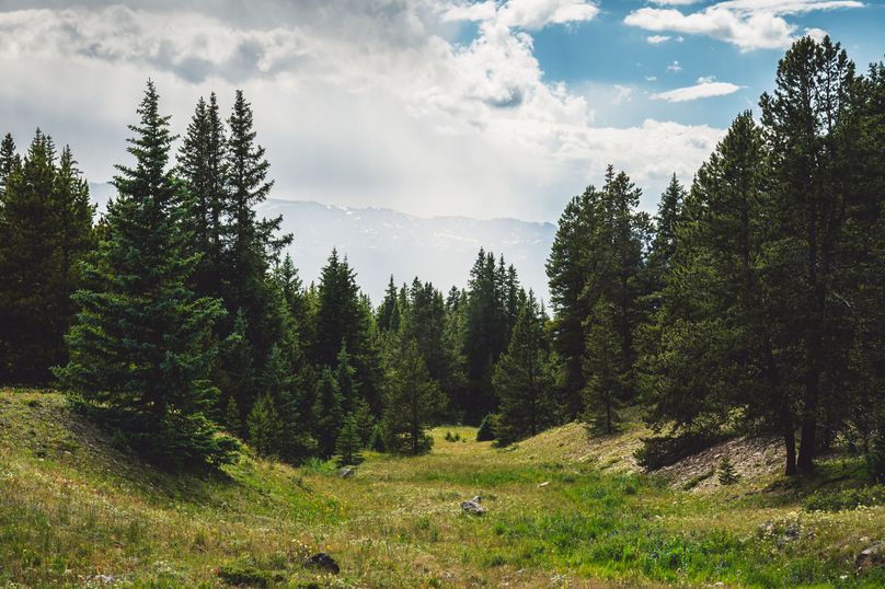 Lake CO 41.32 Nolan - 01 Meadow