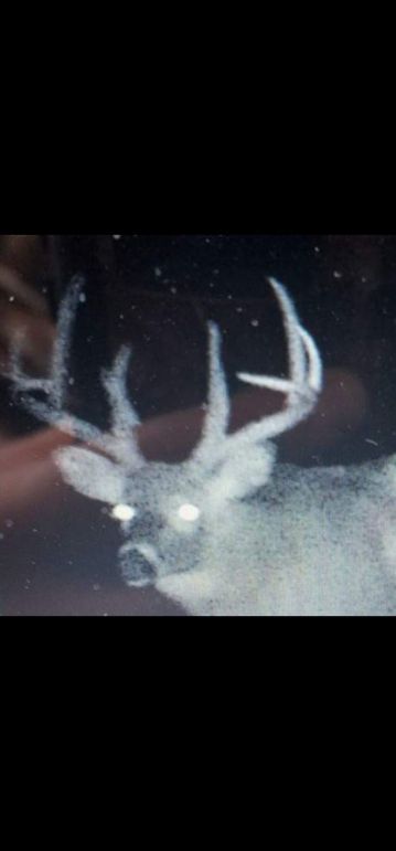 Screenshot_20230828_044457_Gallery