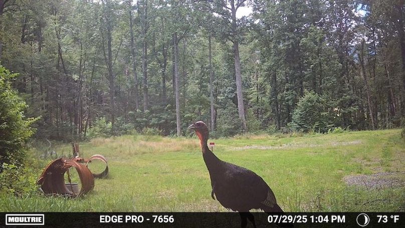 Temp_1449641-20250729170428-pir_20250729_130400_1_23_0