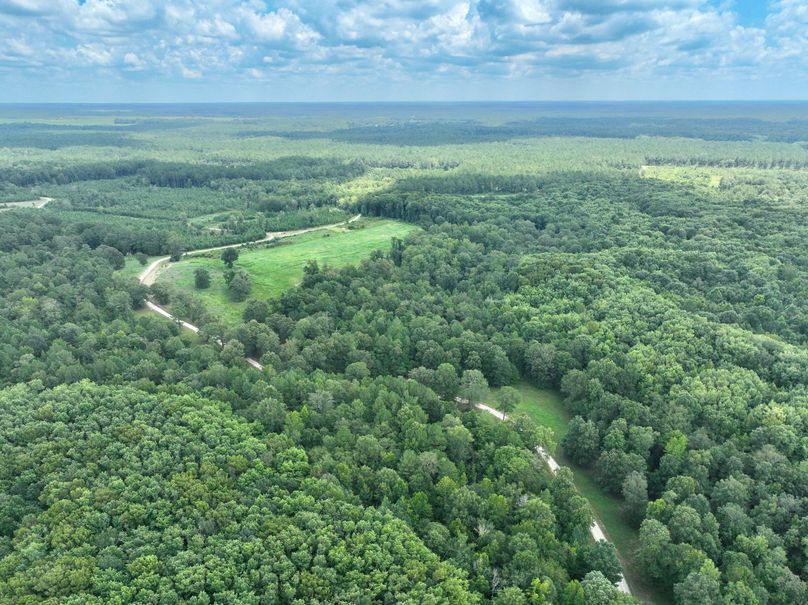 dji_fly_20230731_133028_453_1690845666428_photo