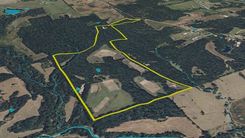 Screen Shot 2026-03-10 at 9.15.07 AM