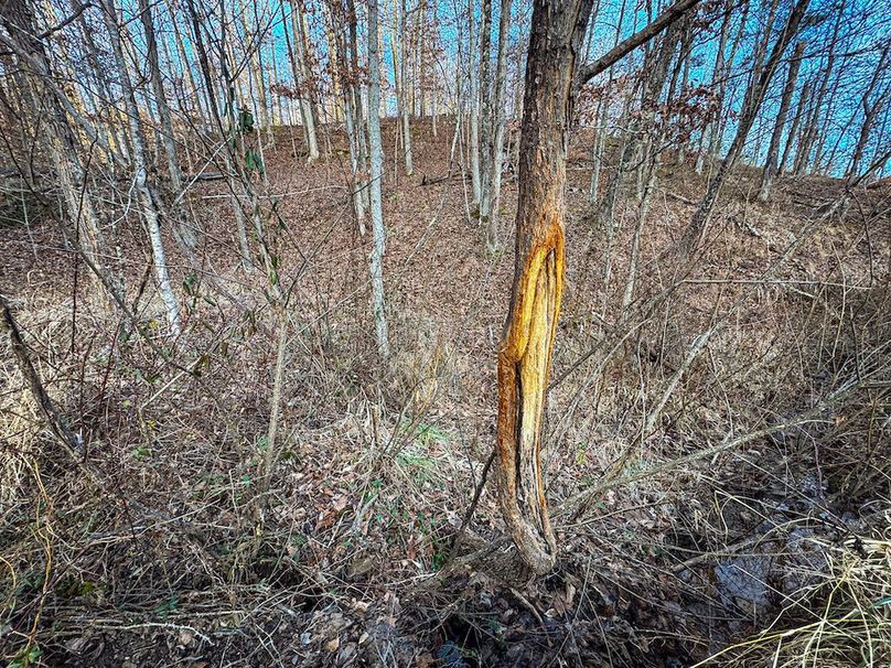 Jackson, WV 118.94 AC Shafer-103