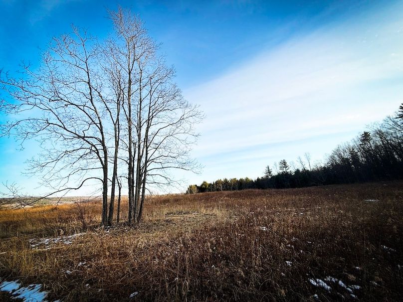 Seneca_24.54_Hohwald_Photos_35