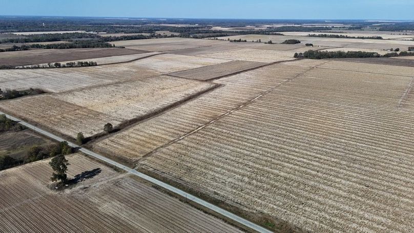 DJI_20251116020900_0905_D