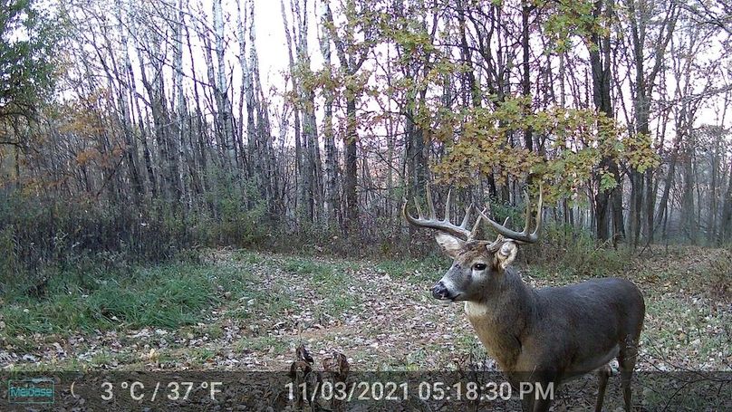 Trailcam - 1