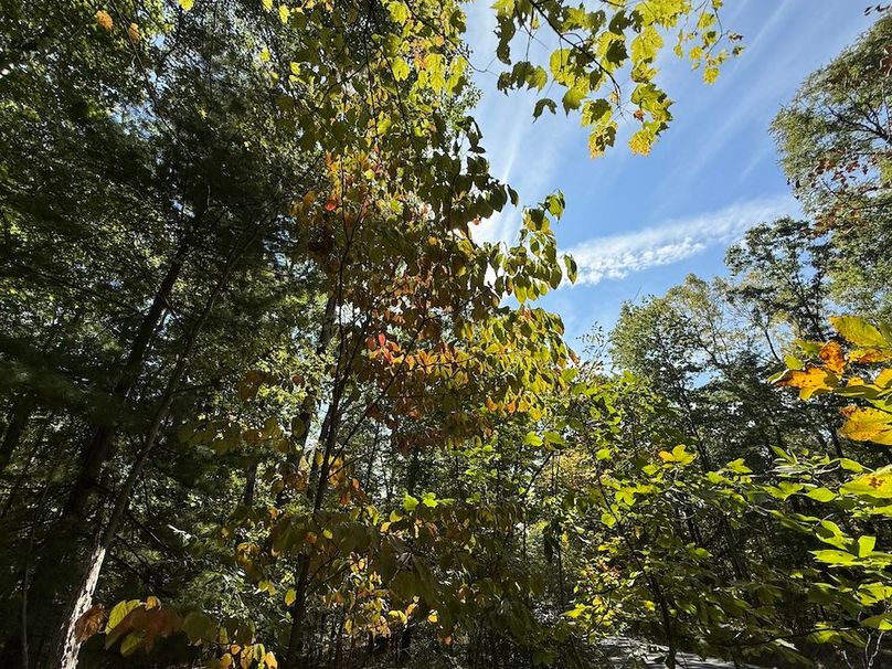 Chemung_20.82_Meyers Photo 8