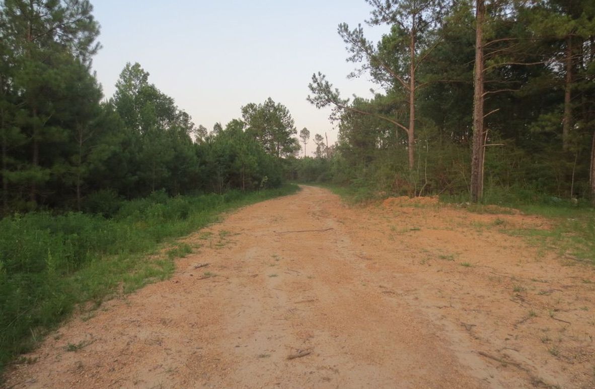 41DE963E-FAFD-43D2-AC04-F9A50C11874D_1_105_c