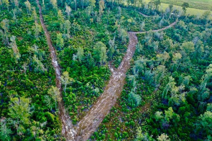 E2A6D46C-5EED-4063-8EFF-877681EEC412_1_105_c