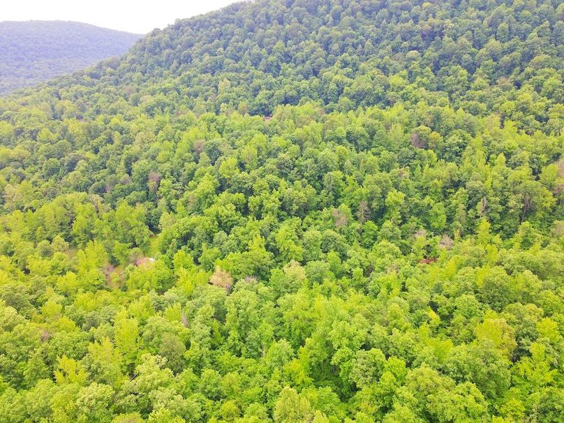 DJI_0342