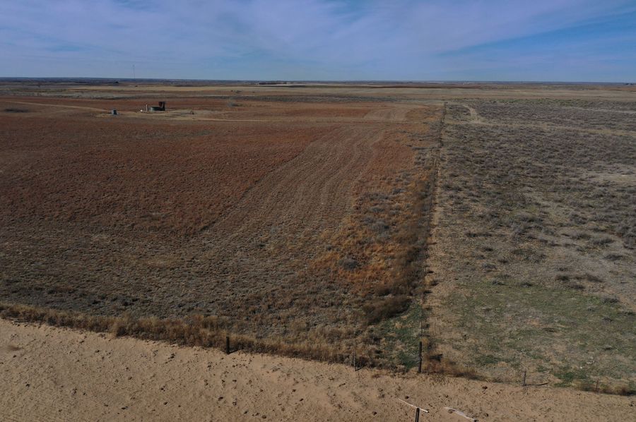 DJI_0091