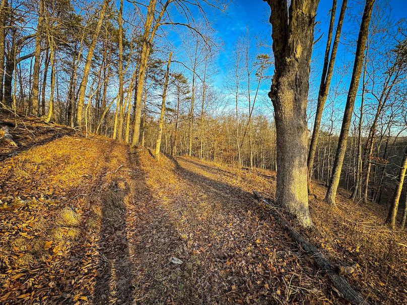 Jackson, WV 118.94 AC Shafer-085