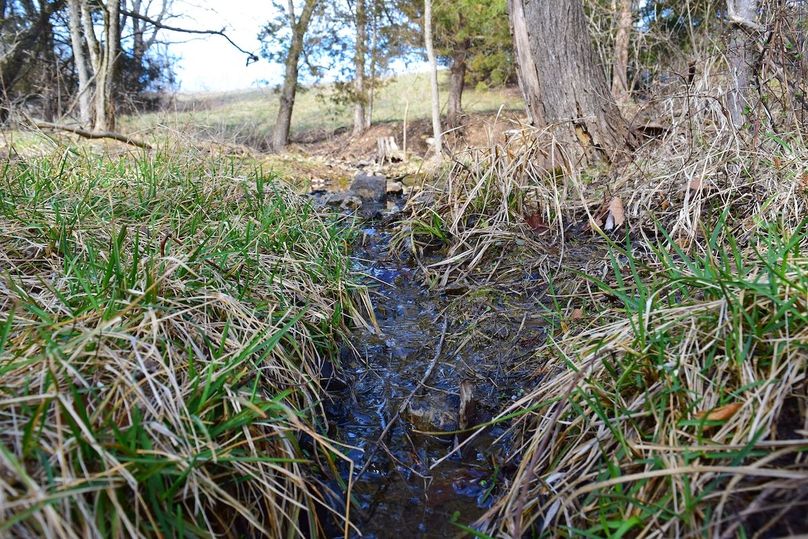 DSC_0289_inPixio (2)