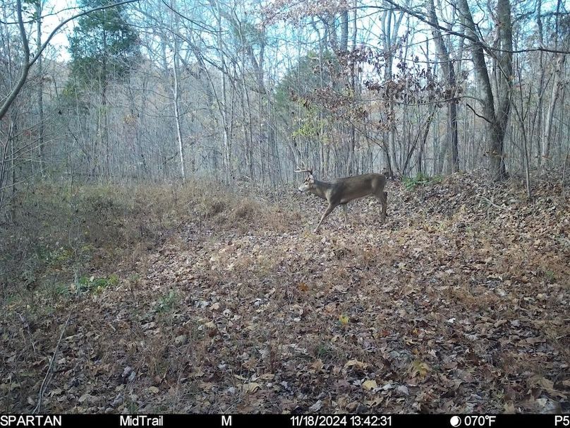 trail cam8