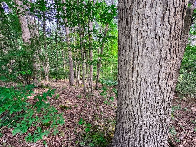 Lewis, WV 105 AC Miller-63