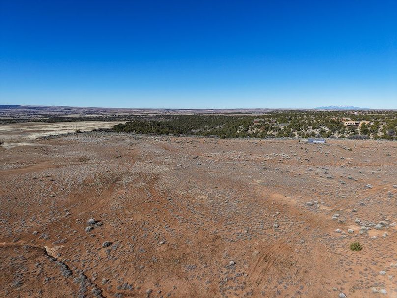 DJI_20260303094018_0042_D