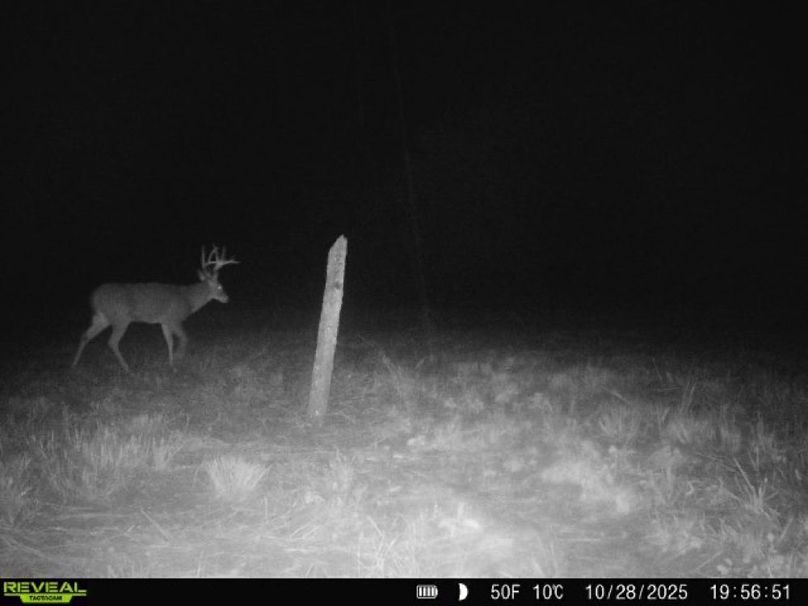 Copy of 860322062100349-100-4-10282025195652-V-W1003046