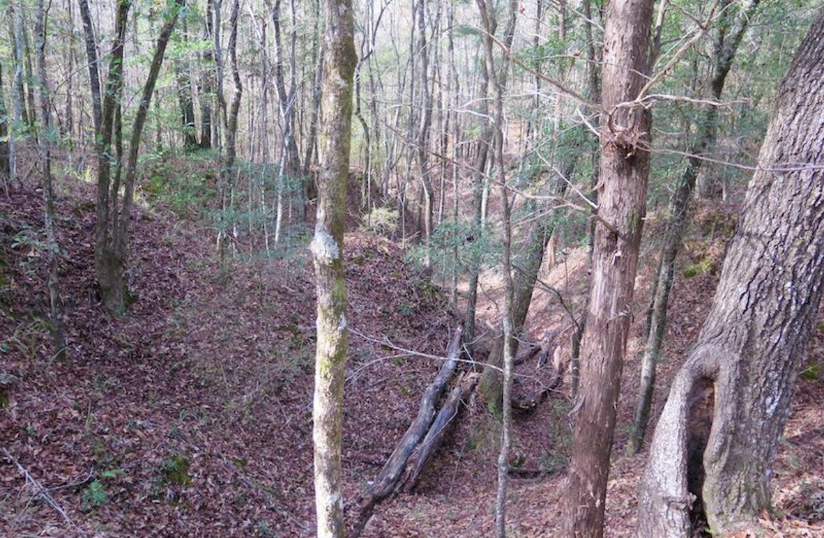 Lauderdale Co - 74 - Gillentine-01