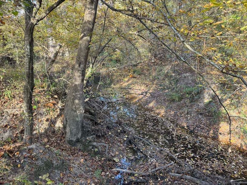 Jeff 11720251111_0200