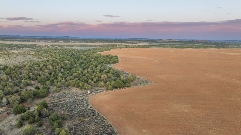DJI_0374_1