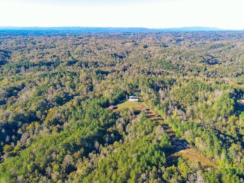 dji_fly_20241010_164600_907_1728593184914_photo