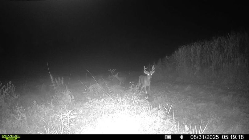 016579006920529-100-4-08312025051918-SYFW00105