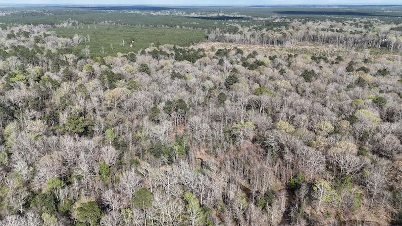 dji_fly_20260305_050552_0097_1772672659034_photo