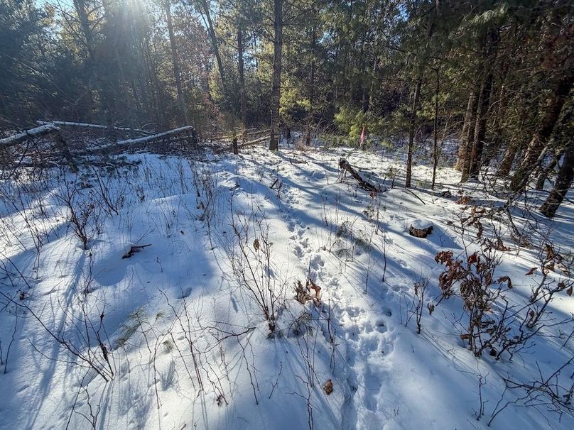 Monroe 68.2 - 111 of 120