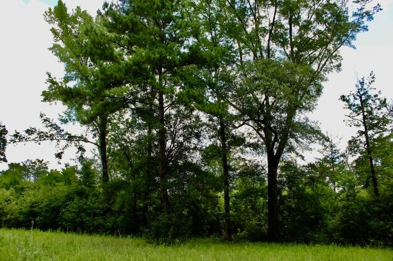 B8ED7F0D-A95B-4167-A9CB-7E20F86664D5_1_201_a