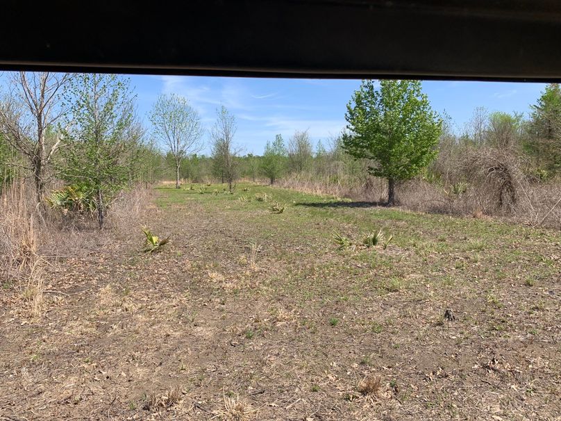 FF1591AF-6C1C-4130-902D-44BABD9A9F04_1_102_o