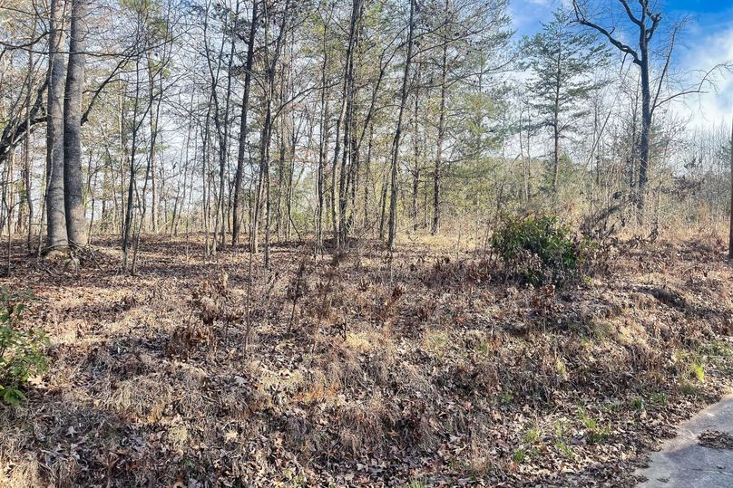 02 Front of Property 1