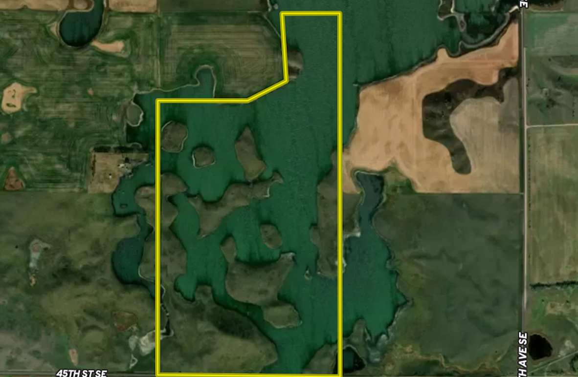 Screen Shot 2024-02-22 at 11.58.09 AM