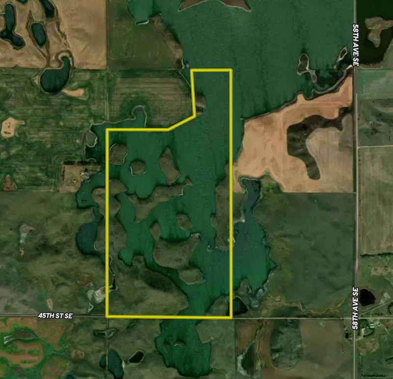 Screen Shot 2024-02-22 at 11.58.09 AM