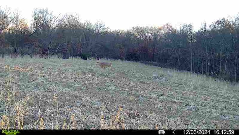 016579000764733-100-3-12032024162546-HD-SYFW01814